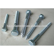 hex head lag Screw